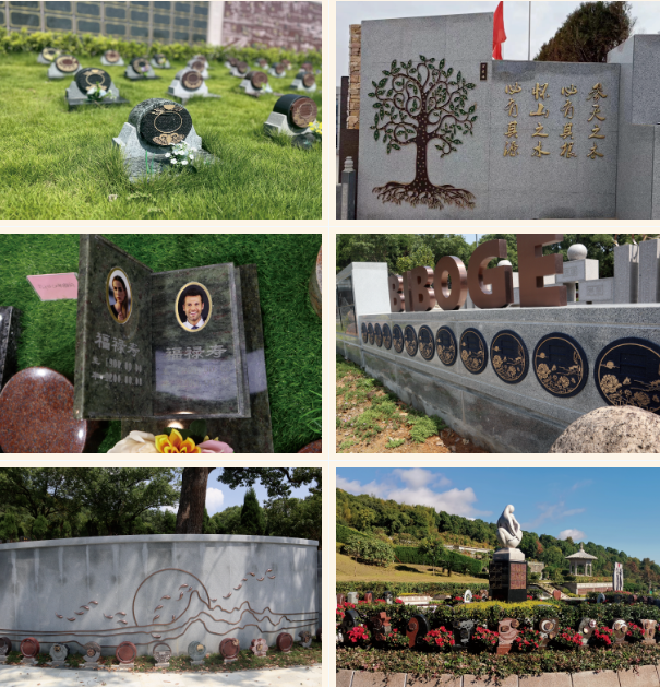 米乐|米乐·M6(中国大陆)官方网站