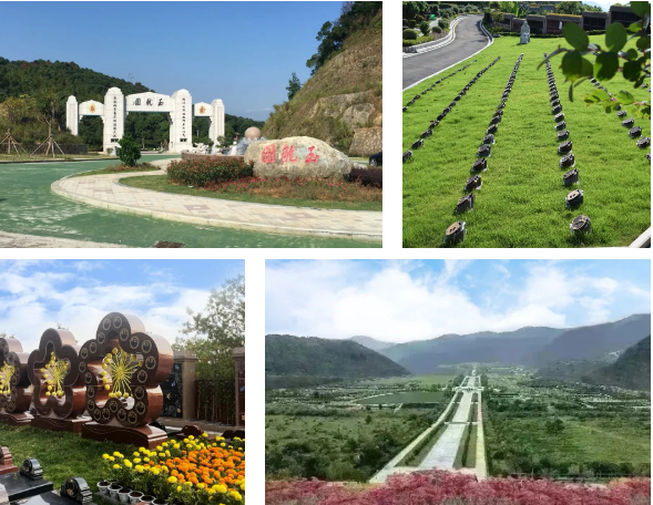 米乐|米乐·M6(中国大陆)官方网站