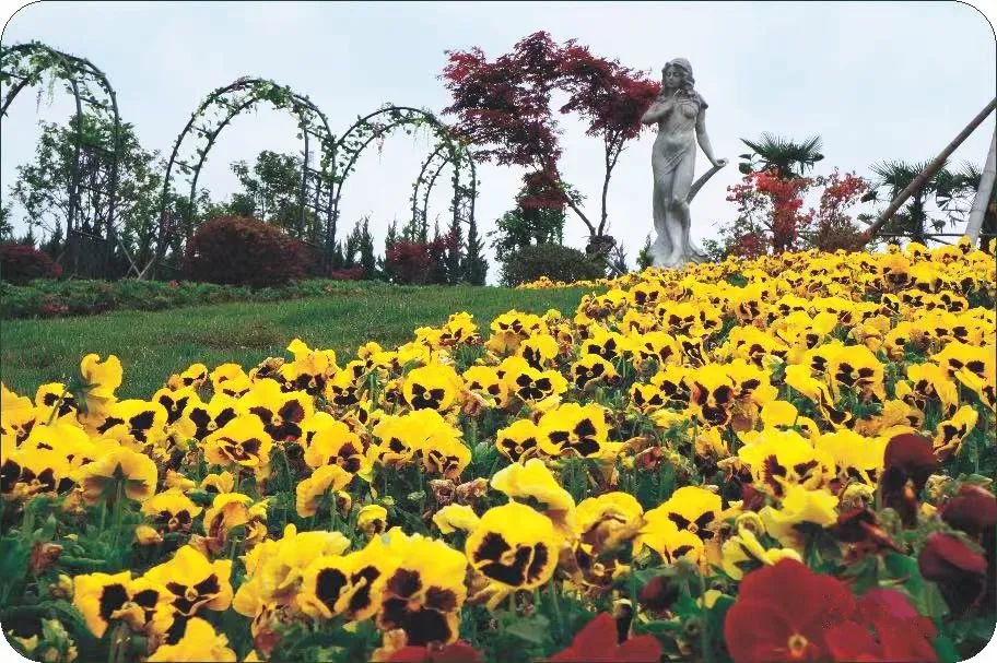 米乐|米乐·M6(中国大陆)官方网站