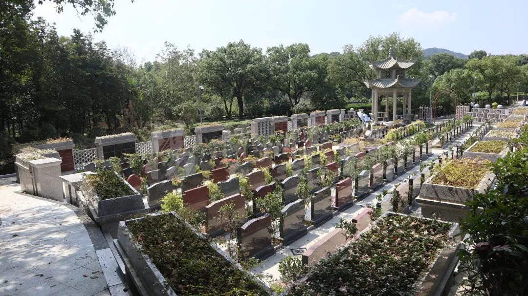 米乐|米乐·M6(中国大陆)官方网站