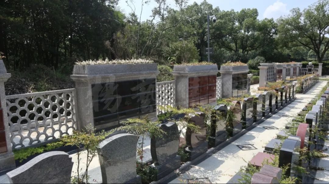 米乐|米乐·M6(中国大陆)官方网站