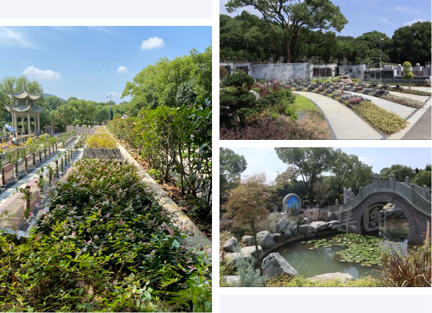 米乐|米乐·M6(中国大陆)官方网站