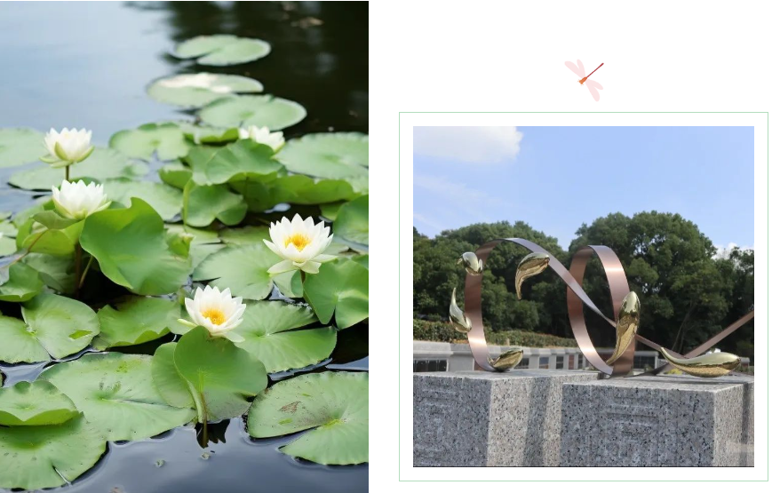 米乐|米乐·M6(中国大陆)官方网站