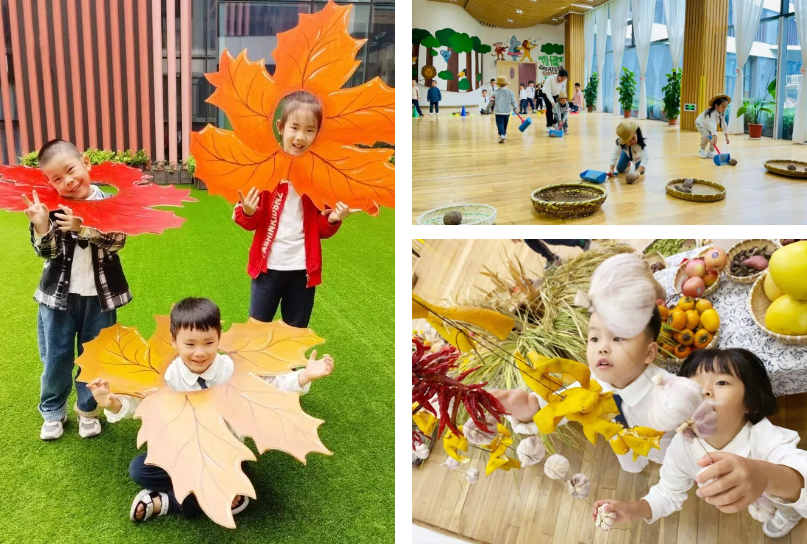 米乐|米乐·M6(中国大陆)官方网站