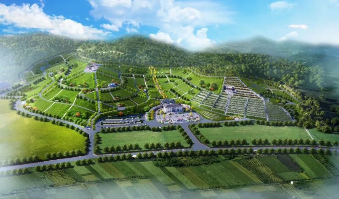 米乐|米乐·M6(中国大陆)官方网站