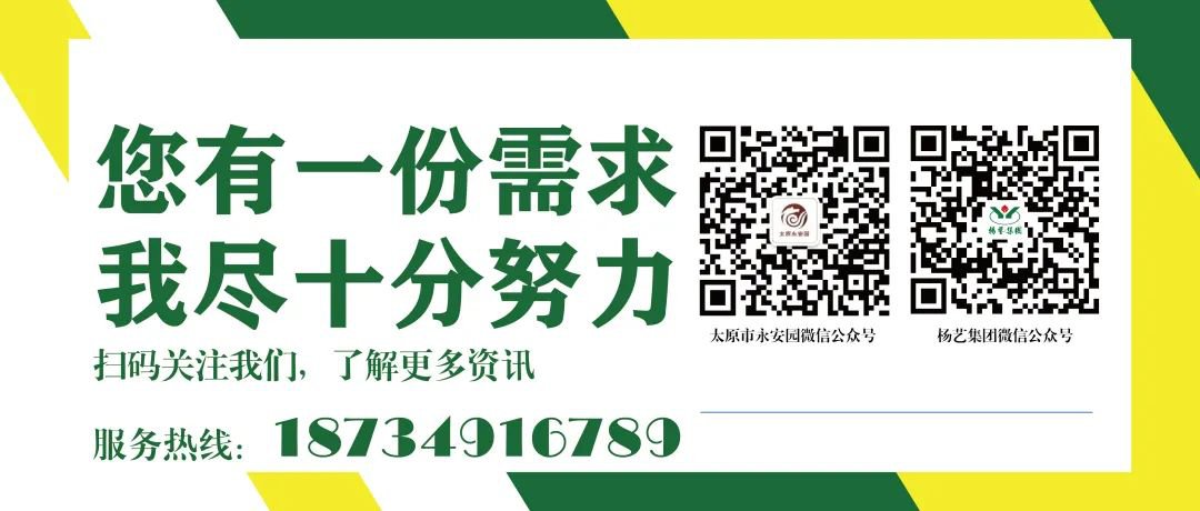 米乐|米乐·M6(中国大陆)官方网站