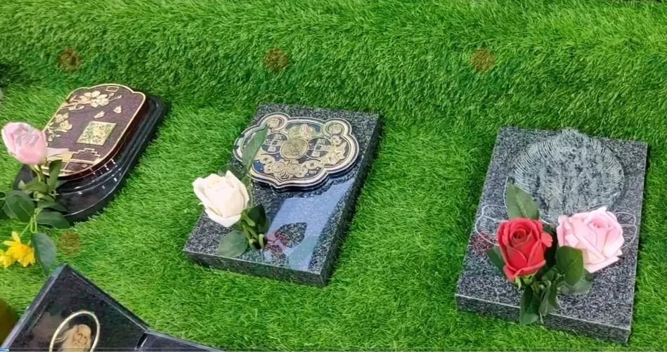 米乐|米乐·M6(中国大陆)官方网站