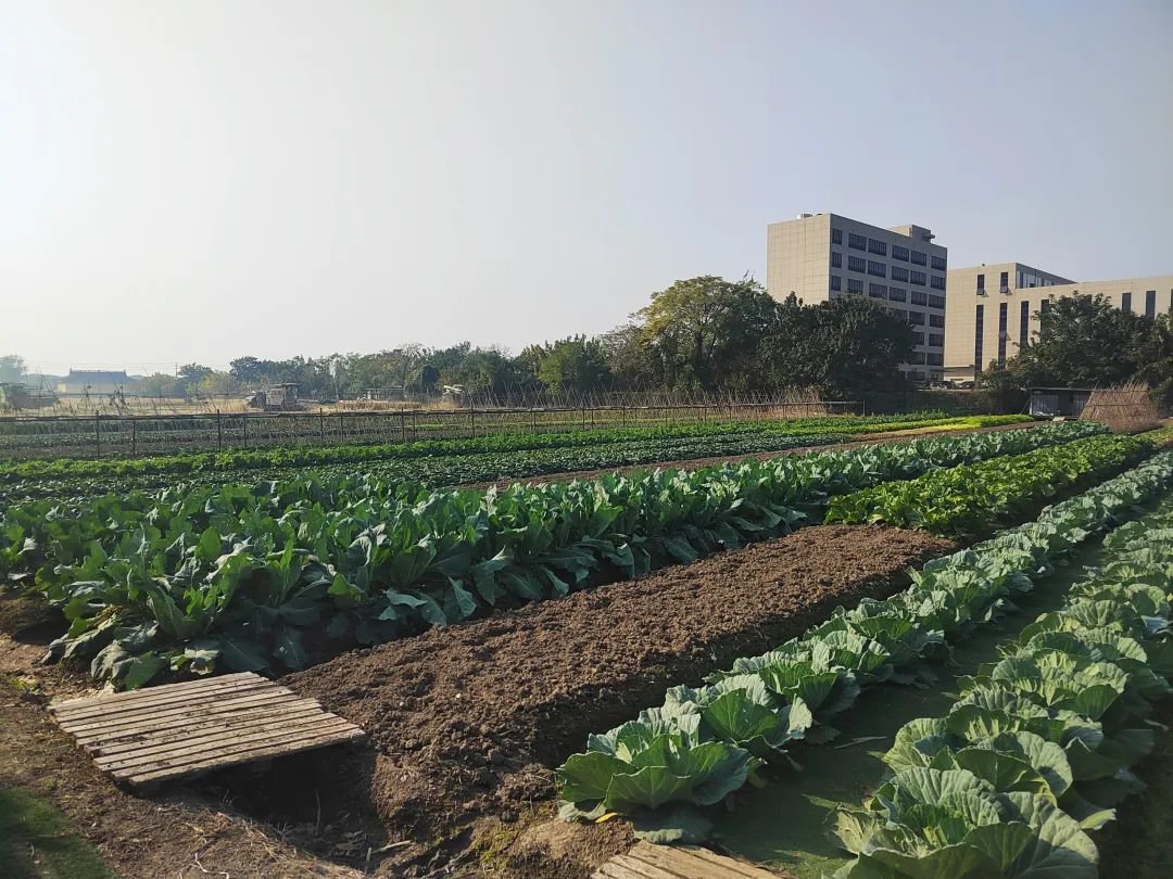 米乐|米乐·M6(中国大陆)官方网站