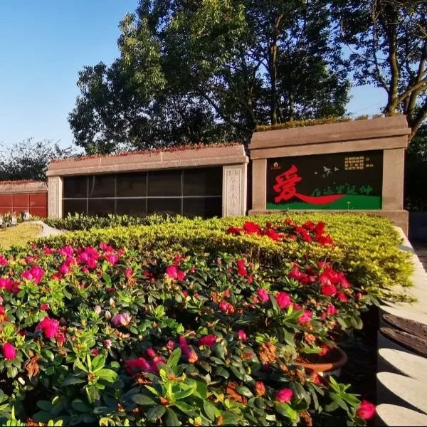 米乐|米乐·M6(中国大陆)官方网站