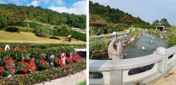 米乐|米乐·M6(中国大陆)官方网站