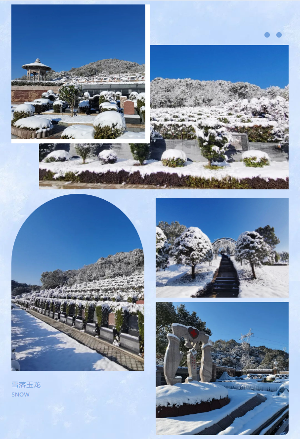 米乐|米乐·M6(中国大陆)官方网站