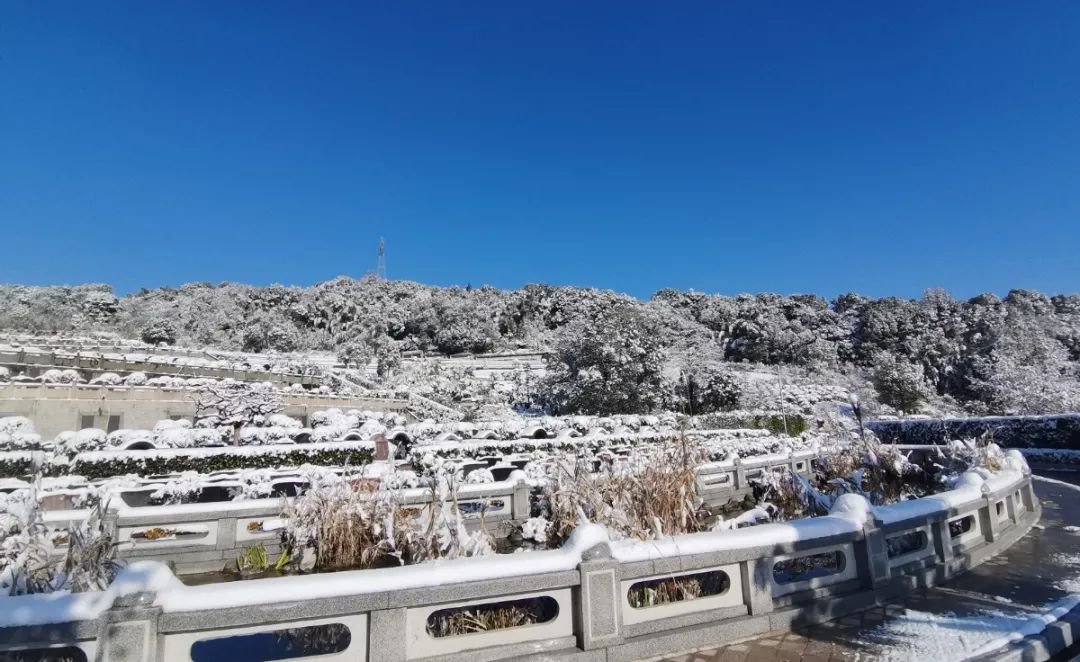 米乐|米乐·M6(中国大陆)官方网站