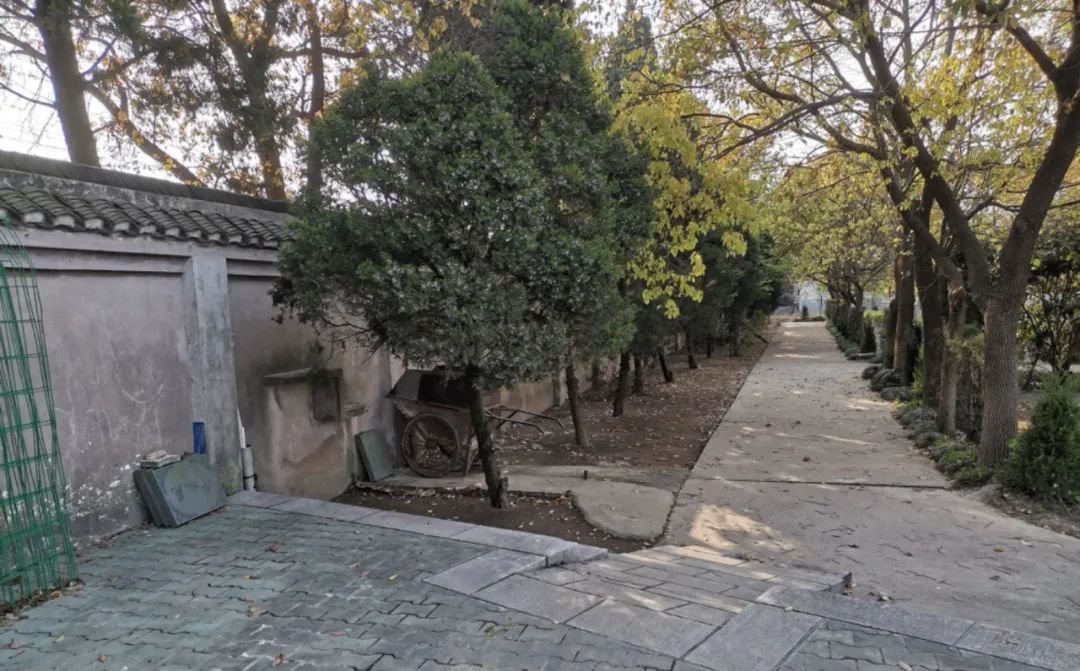 米乐|米乐·M6(中国大陆)官方网站