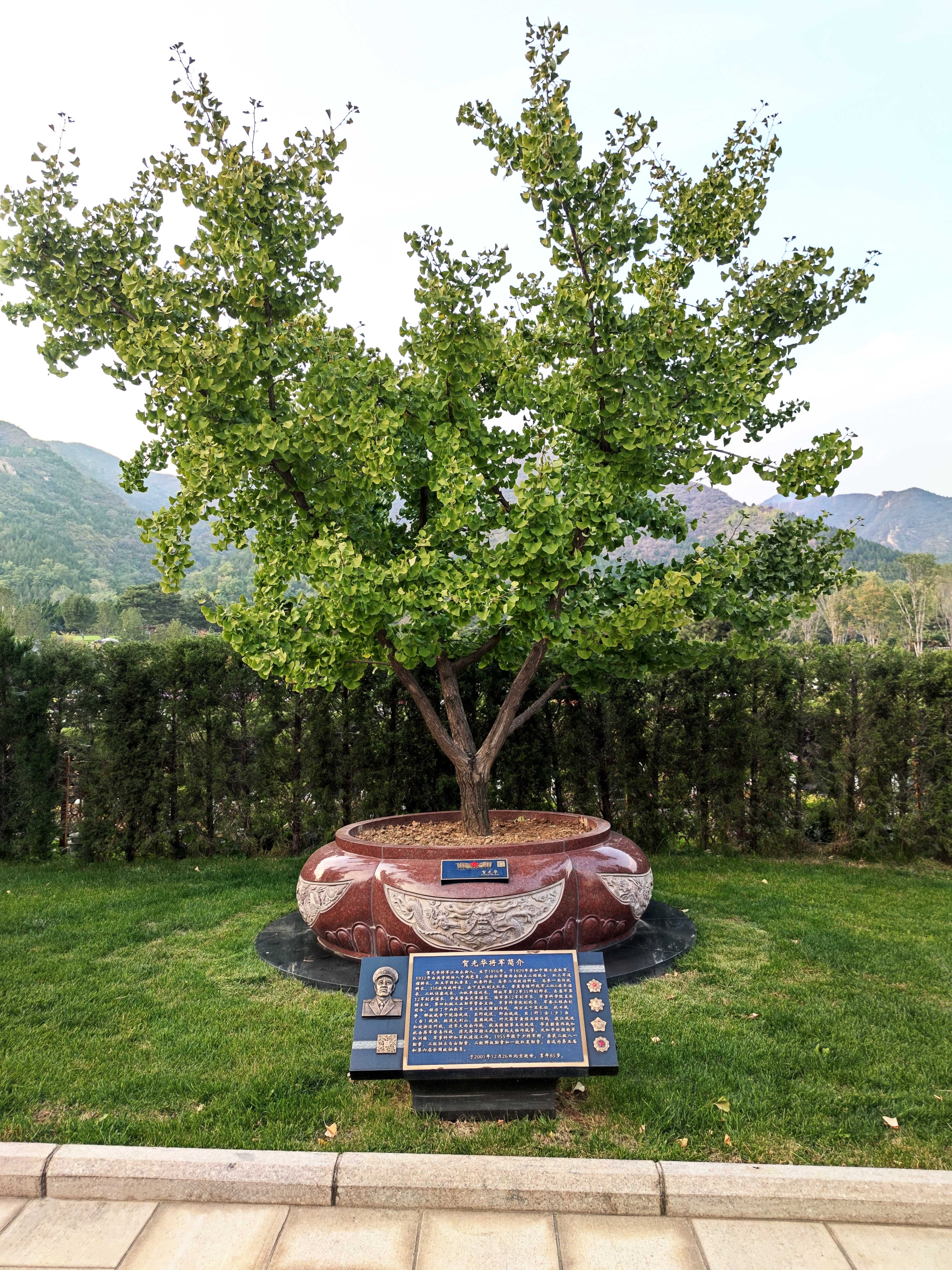 米乐|米乐·M6(中国大陆)官方网站