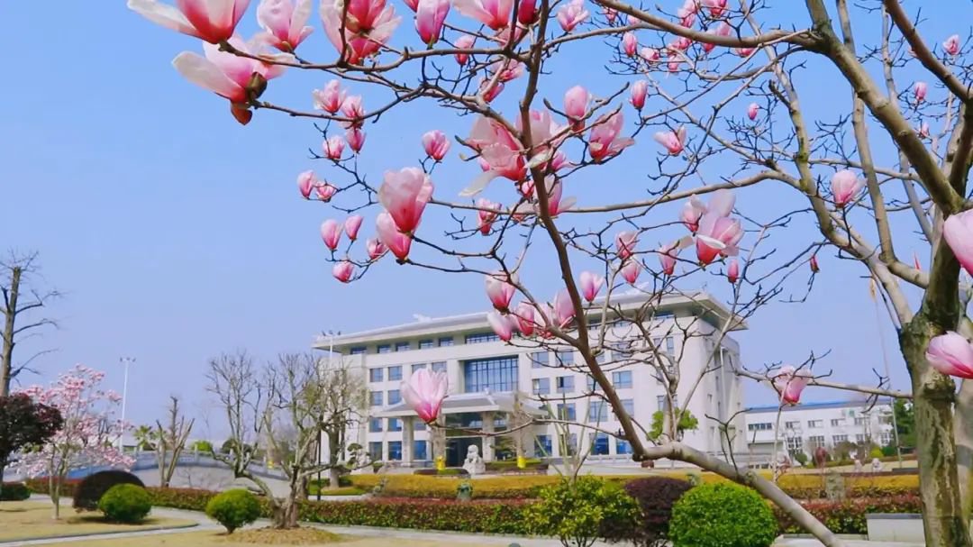 米乐|米乐·M6(中国大陆)官方网站