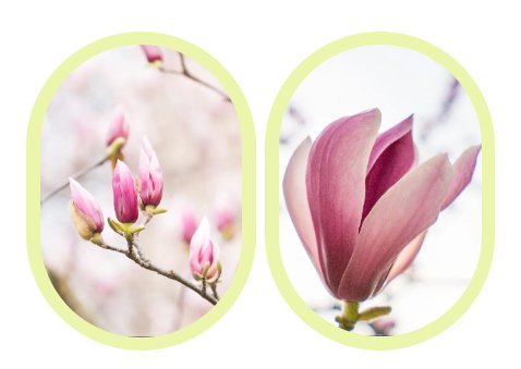 米乐|米乐·M6(中国大陆)官方网站