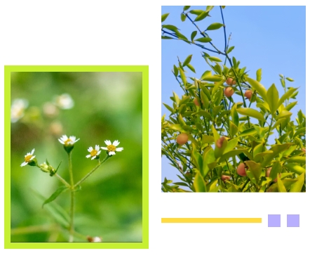 米乐|米乐·M6(中国大陆)官方网站