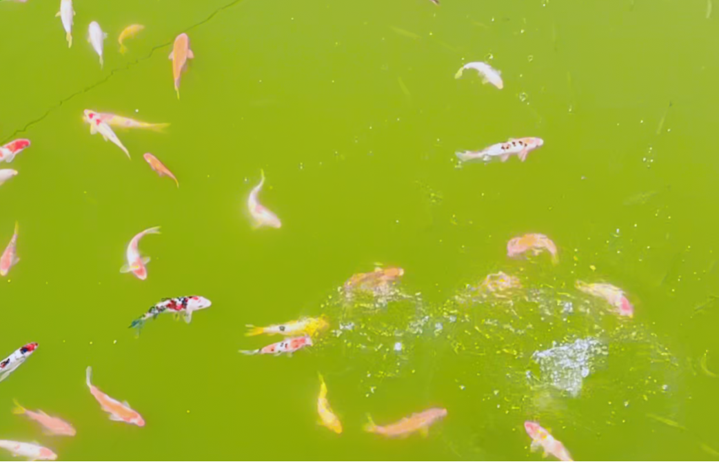 米乐|米乐·M6(中国大陆)官方网站