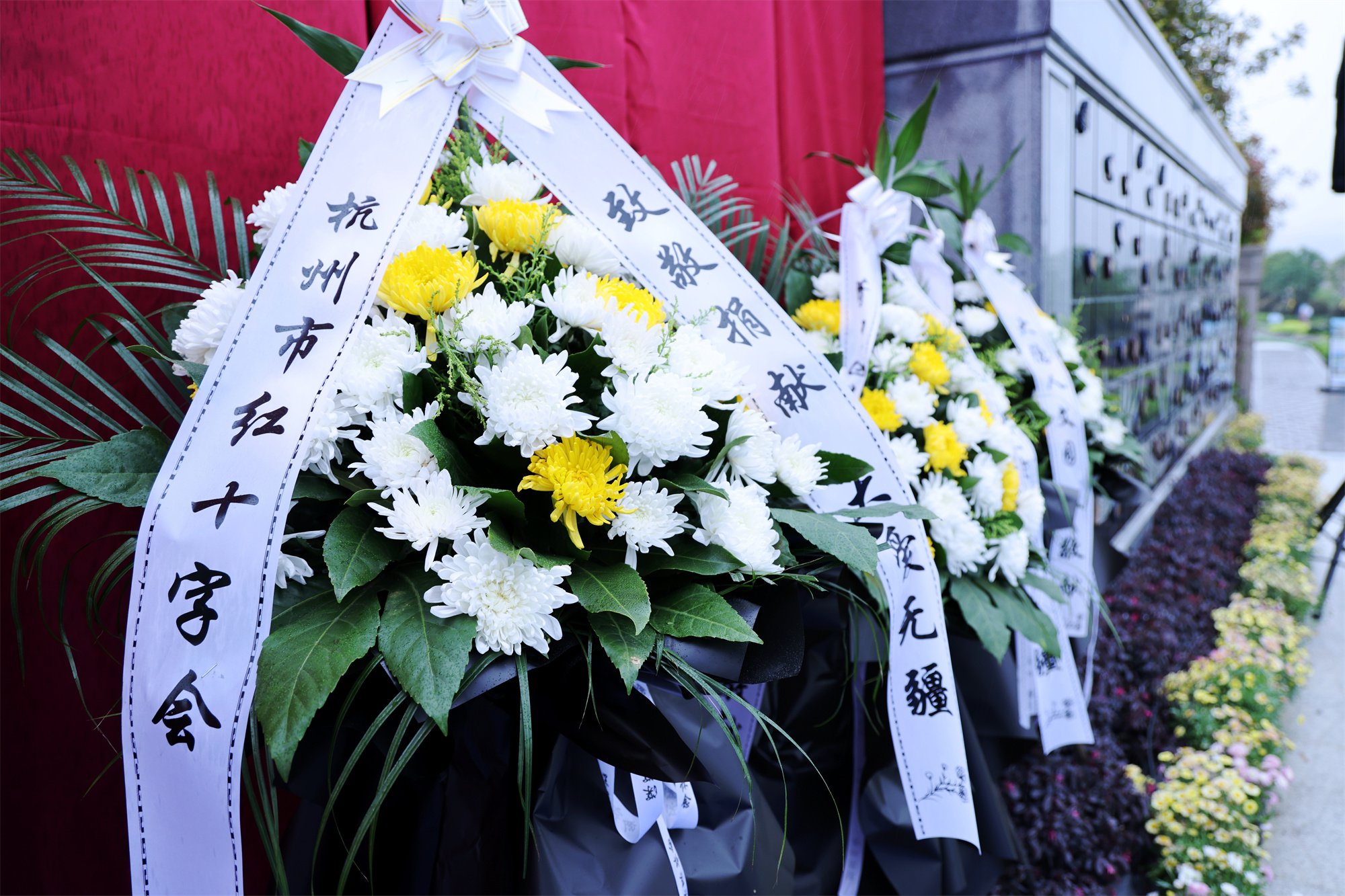 米乐|米乐·M6(中国大陆)官方网站