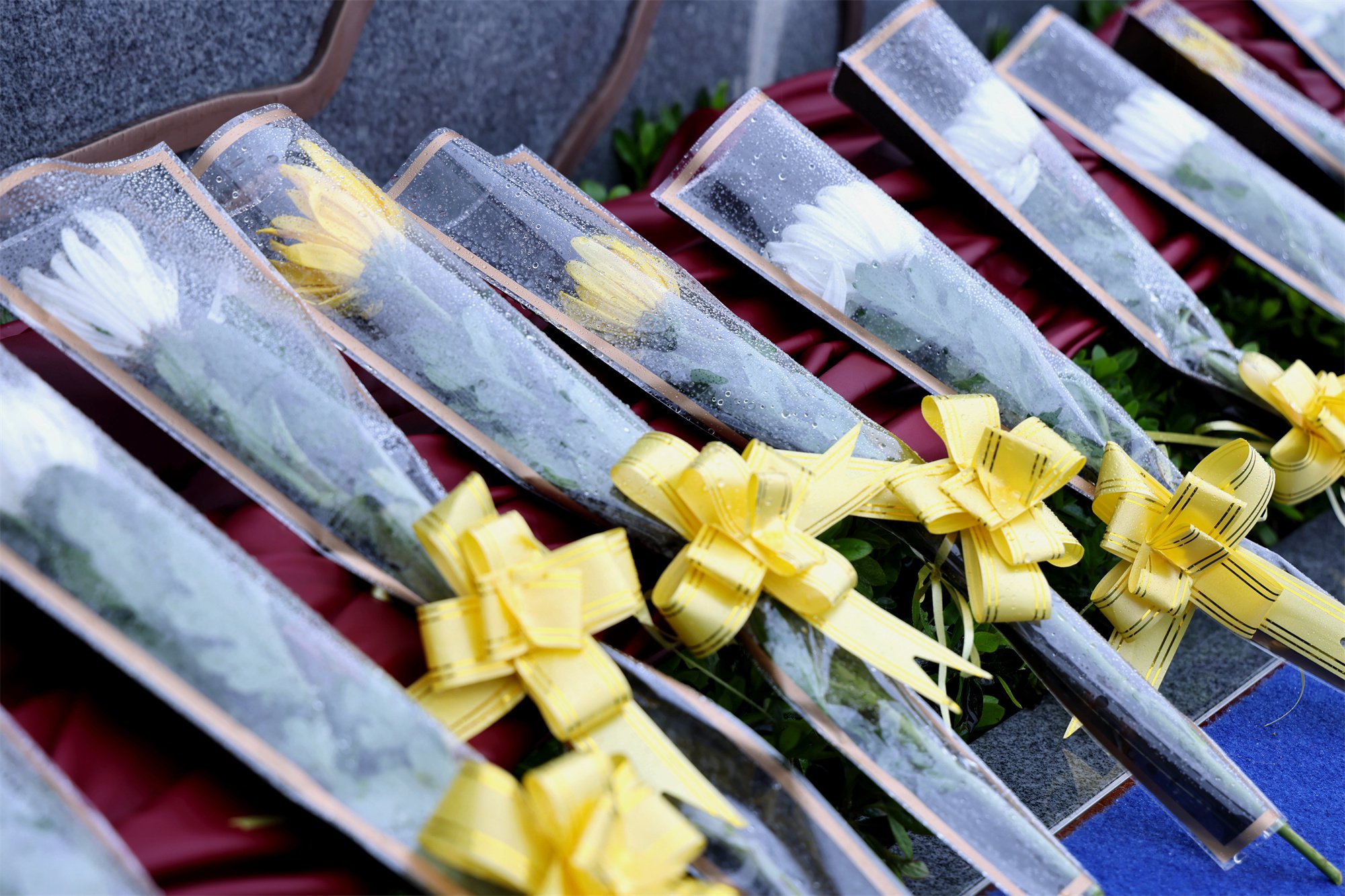 米乐|米乐·M6(中国大陆)官方网站