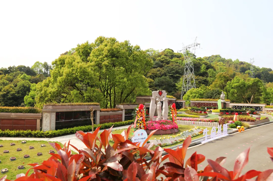 米乐|米乐·M6(中国大陆)官方网站