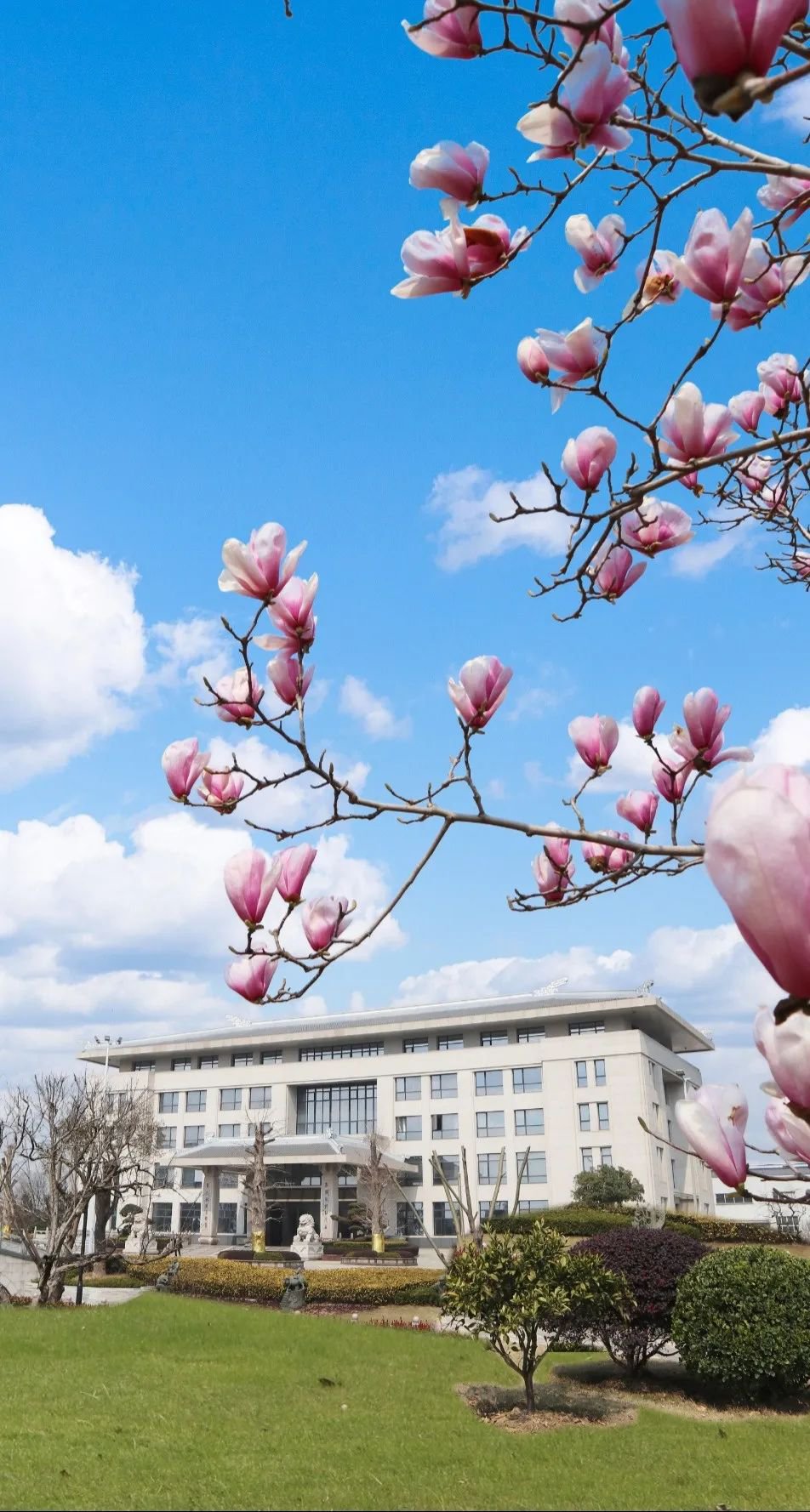 米乐|米乐·M6(中国大陆)官方网站