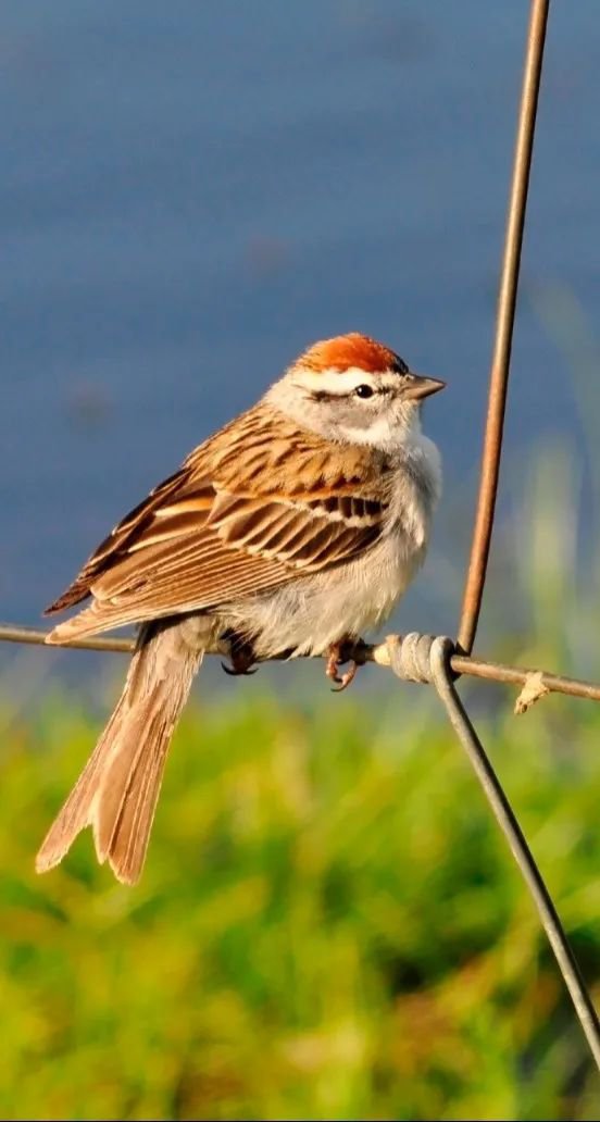 米乐|米乐·M6(中国大陆)官方网站