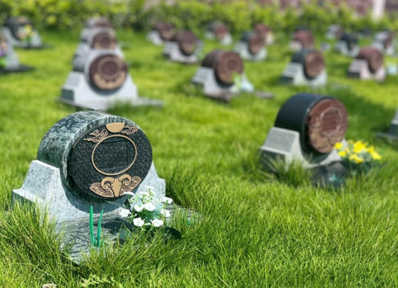 米乐|米乐·M6(中国大陆)官方网站