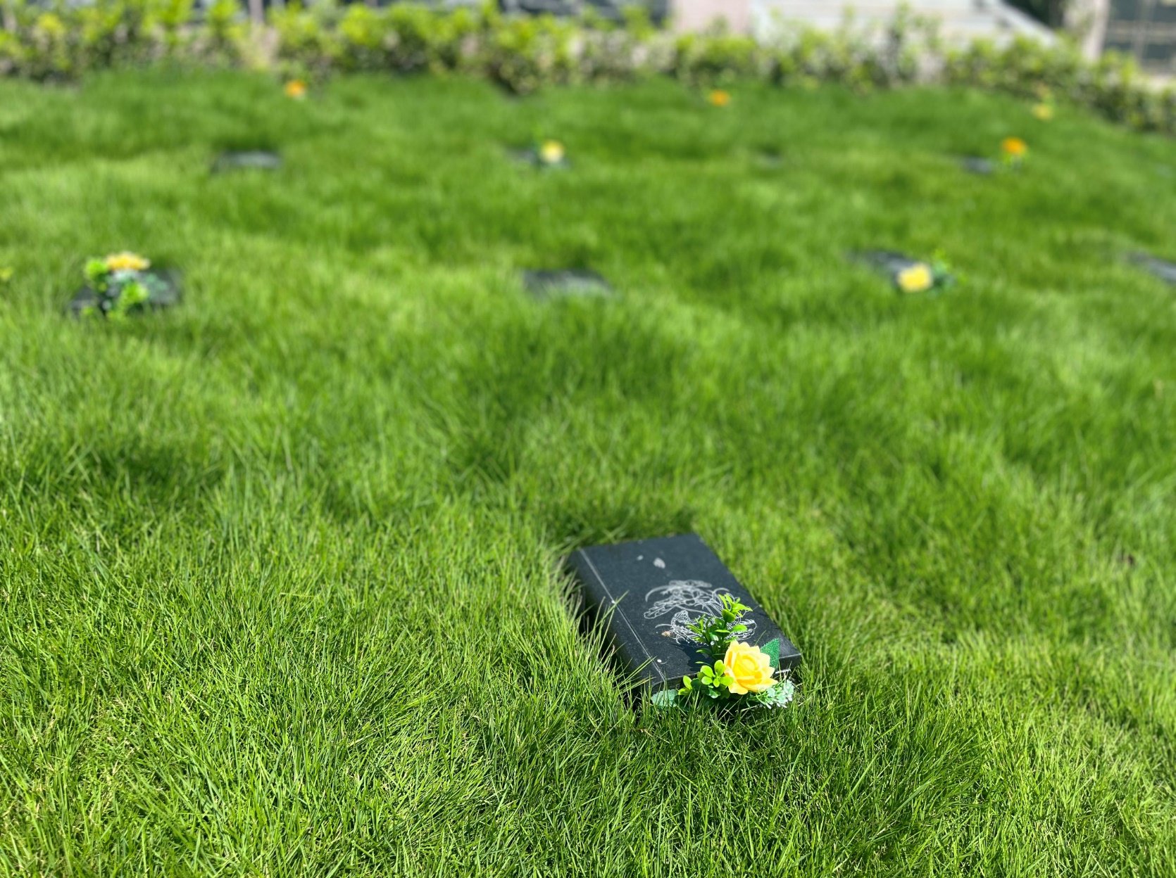 米乐|米乐·M6(中国大陆)官方网站