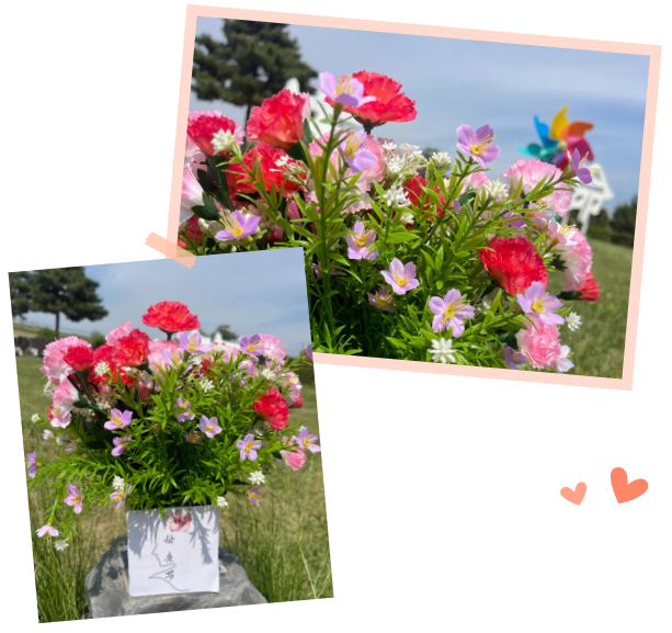 米乐|米乐·M6(中国大陆)官方网站