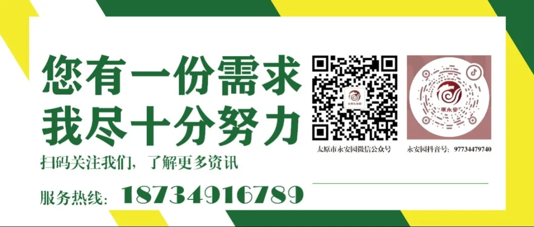 米乐|米乐·M6(中国大陆)官方网站