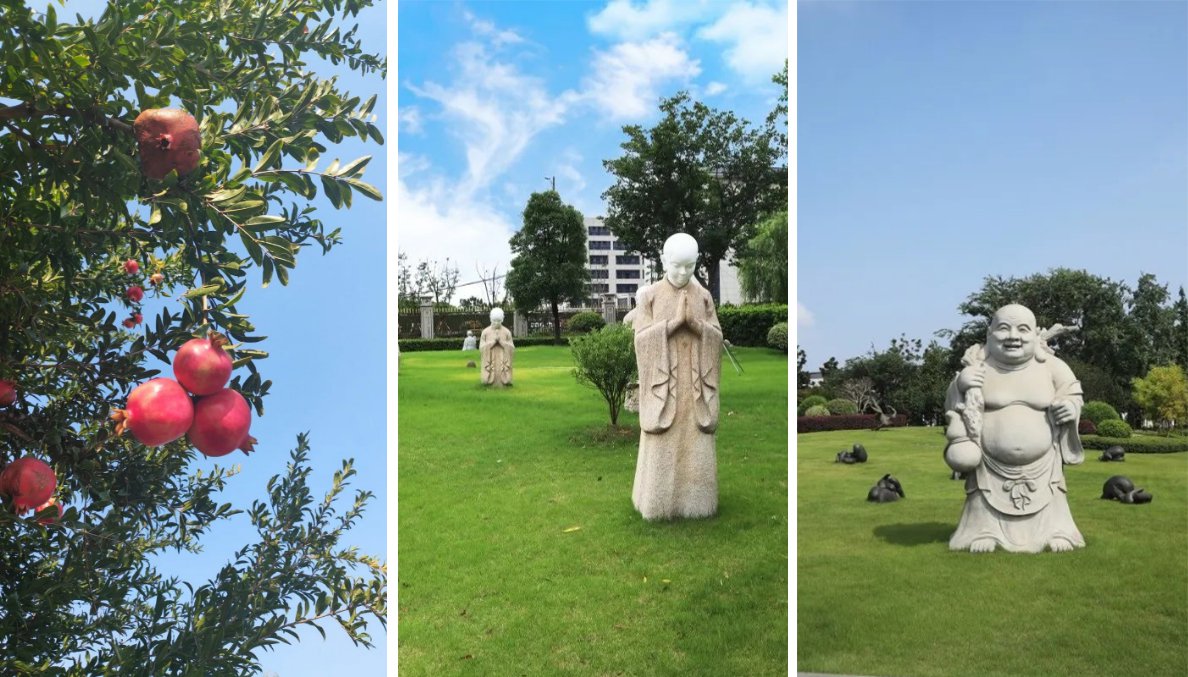 米乐|米乐·M6(中国大陆)官方网站