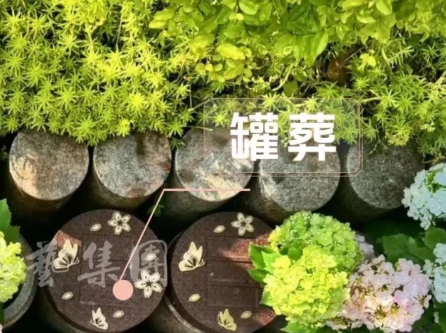 米乐|米乐·M6(中国大陆)官方网站