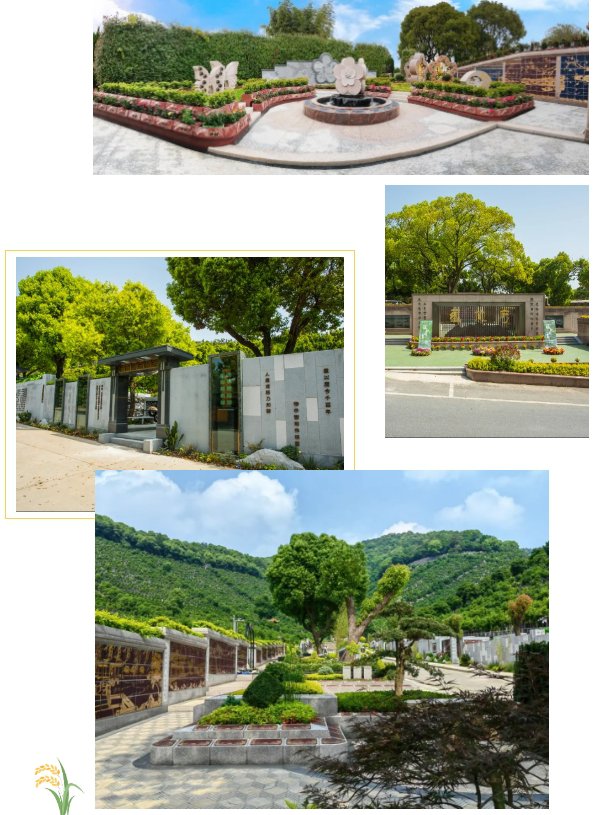 米乐|米乐·M6(中国大陆)官方网站