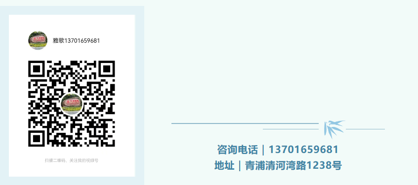 米乐|米乐·M6(中国大陆)官方网站