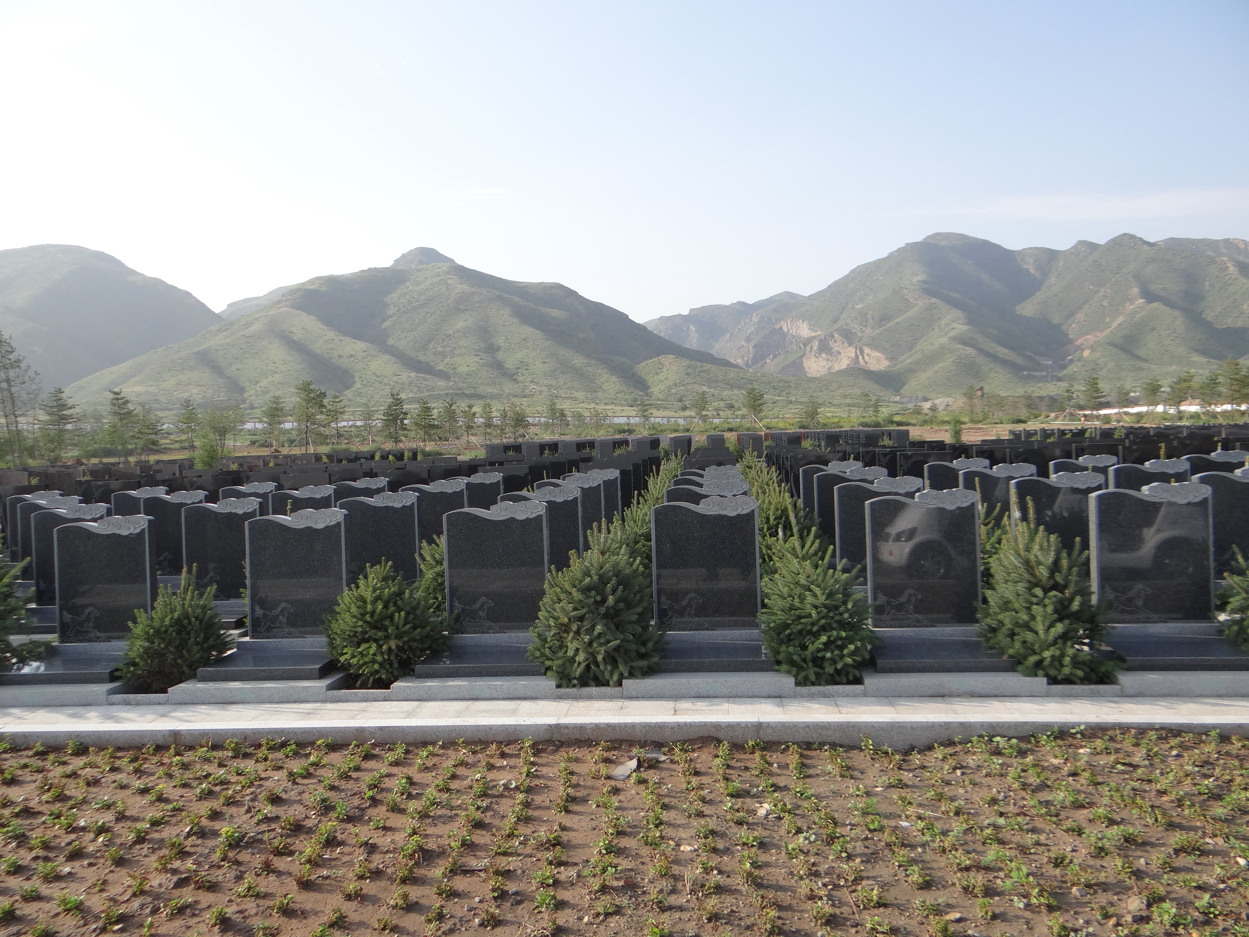 米乐|米乐·M6(中国大陆)官方网站