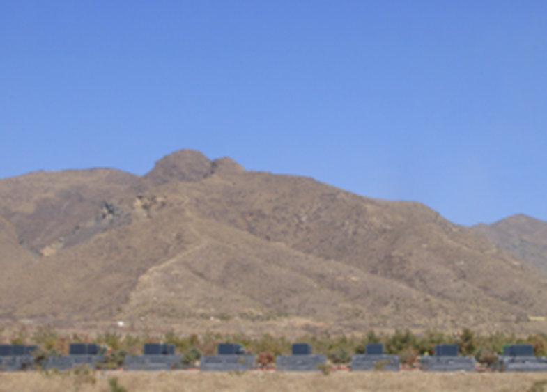 米乐|米乐·M6(中国大陆)官方网站