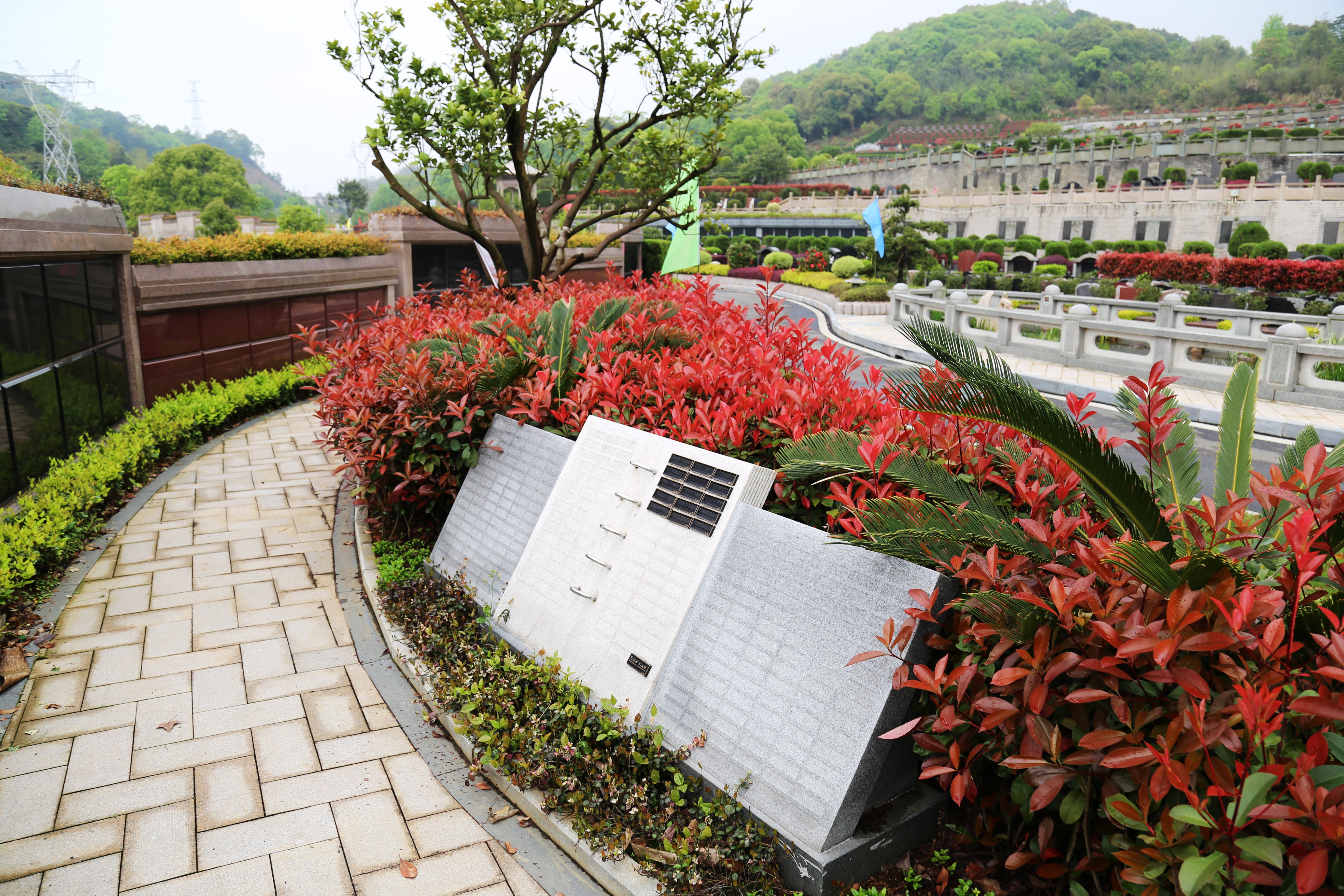 米乐|米乐·M6(中国大陆)官方网站