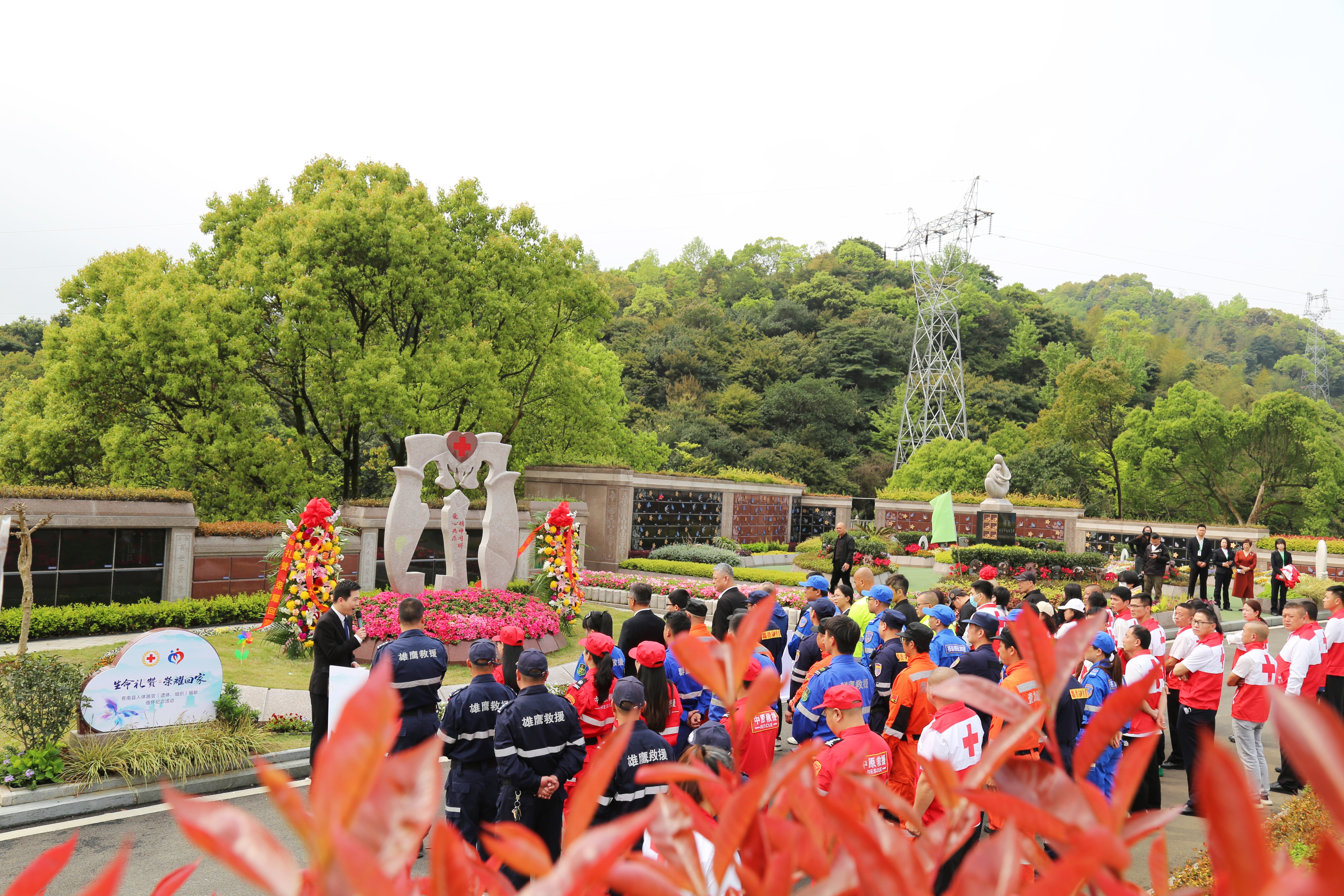 米乐|米乐·M6(中国大陆)官方网站