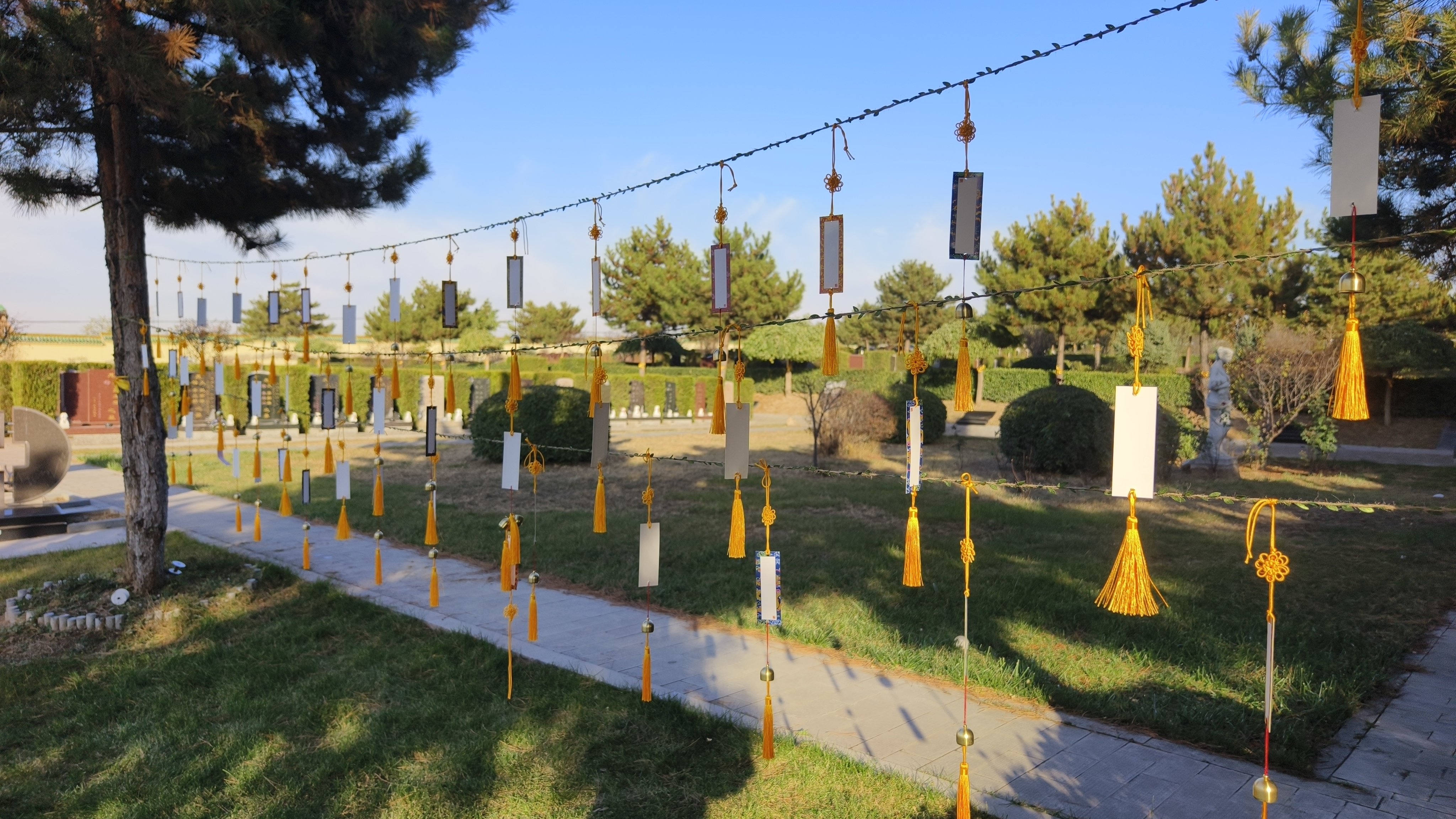 米乐|米乐·M6(中国大陆)官方网站