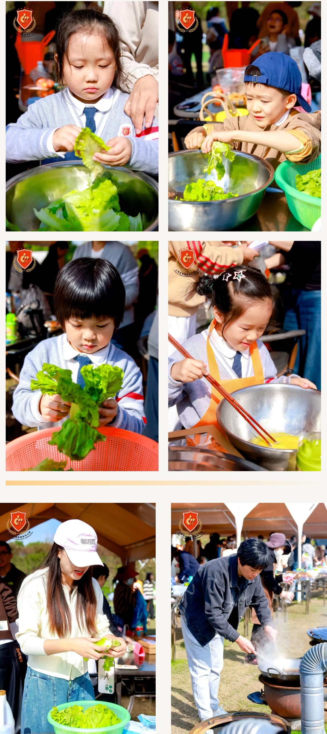 米乐|米乐·M6(中国大陆)官方网站