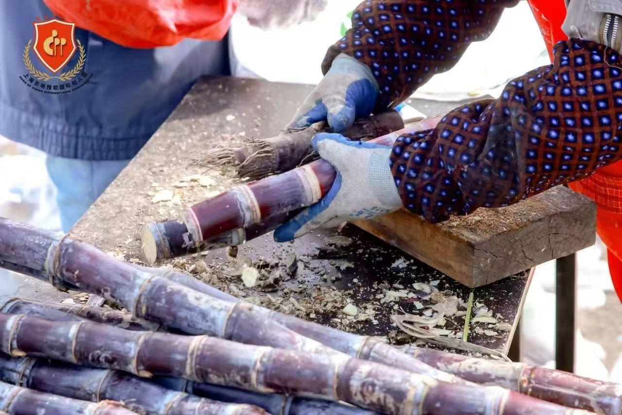 米乐|米乐·M6(中国大陆)官方网站