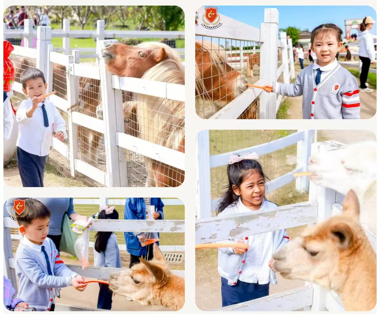 米乐|米乐·M6(中国大陆)官方网站