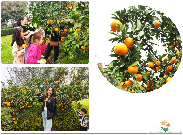 米乐|米乐·M6(中国大陆)官方网站