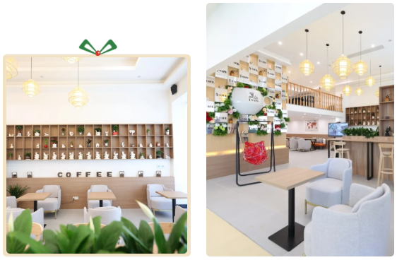 米乐|米乐·M6(中国大陆)官方网站