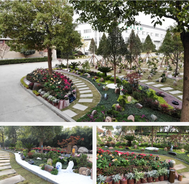 米乐|米乐·M6(中国大陆)官方网站