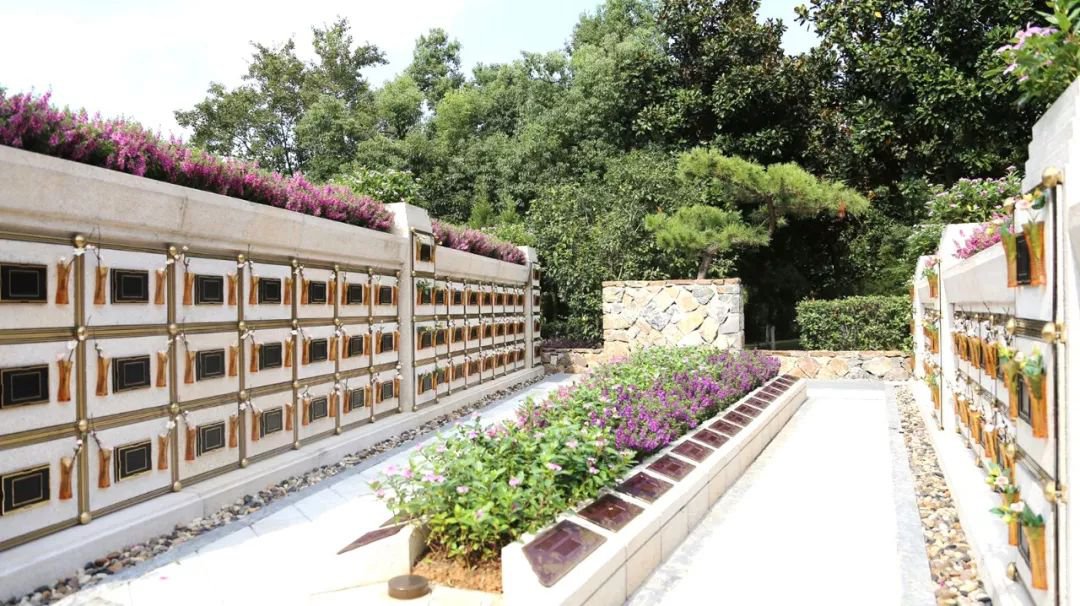 米乐|米乐·M6(中国大陆)官方网站