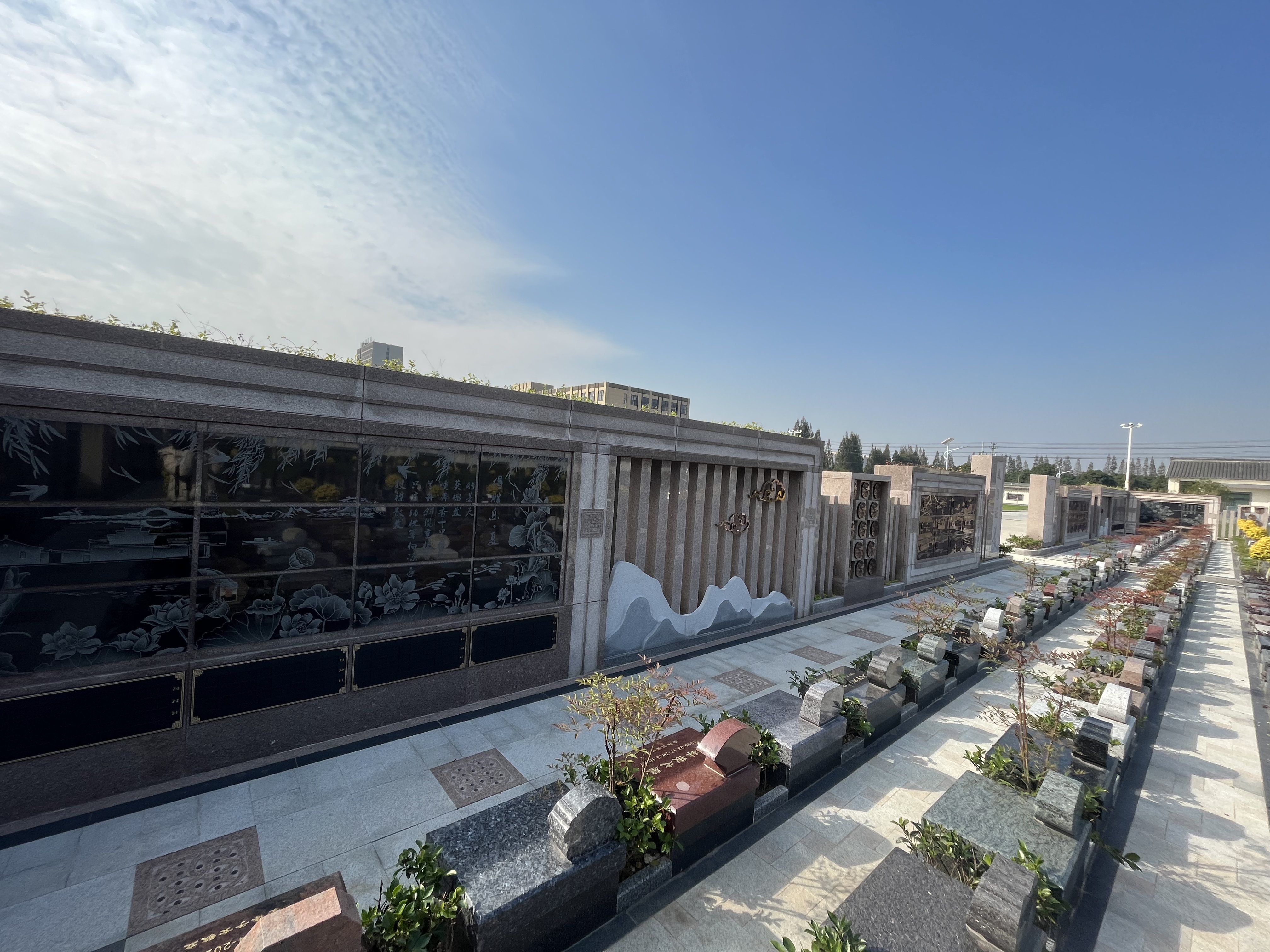 米乐|米乐·M6(中国大陆)官方网站