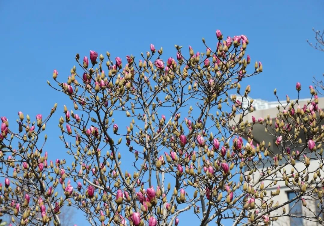 米乐|米乐·M6(中国大陆)官方网站