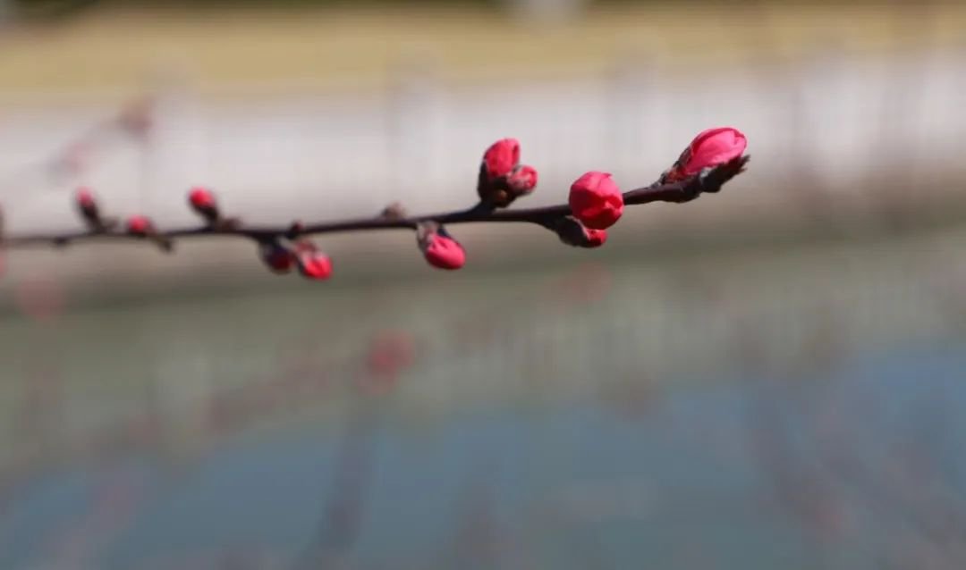 米乐|米乐·M6(中国大陆)官方网站